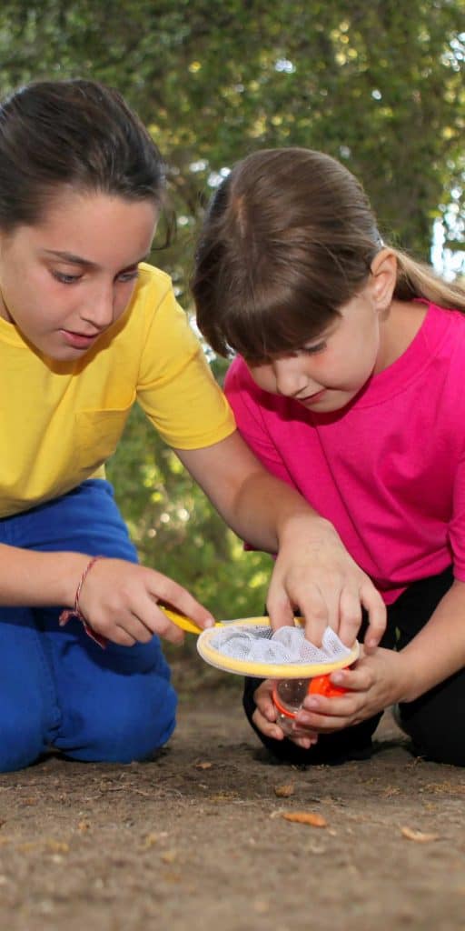 Nature Scavenger Hunt