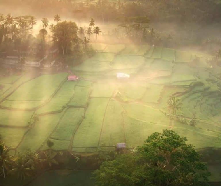 Bali