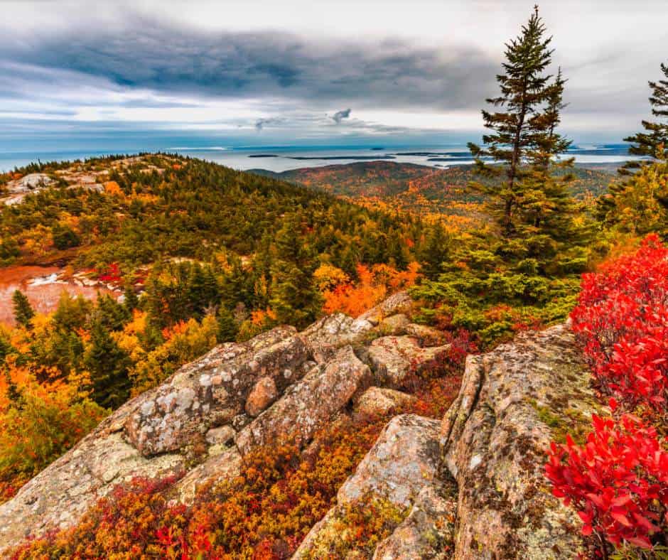 acadia