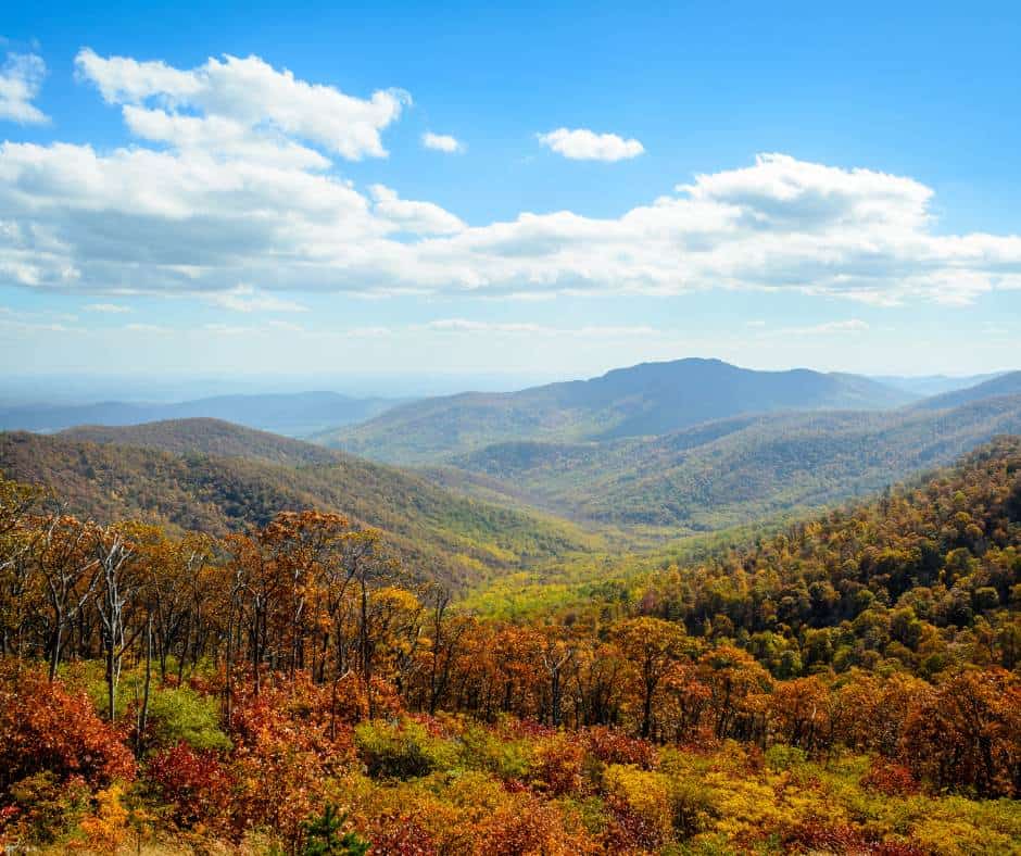 Shenandoah National Park
