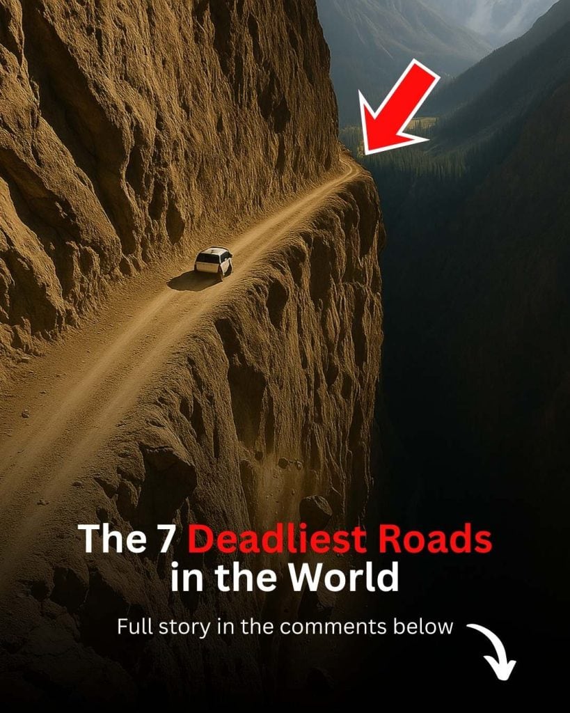 the 7 deadliest roads in the world