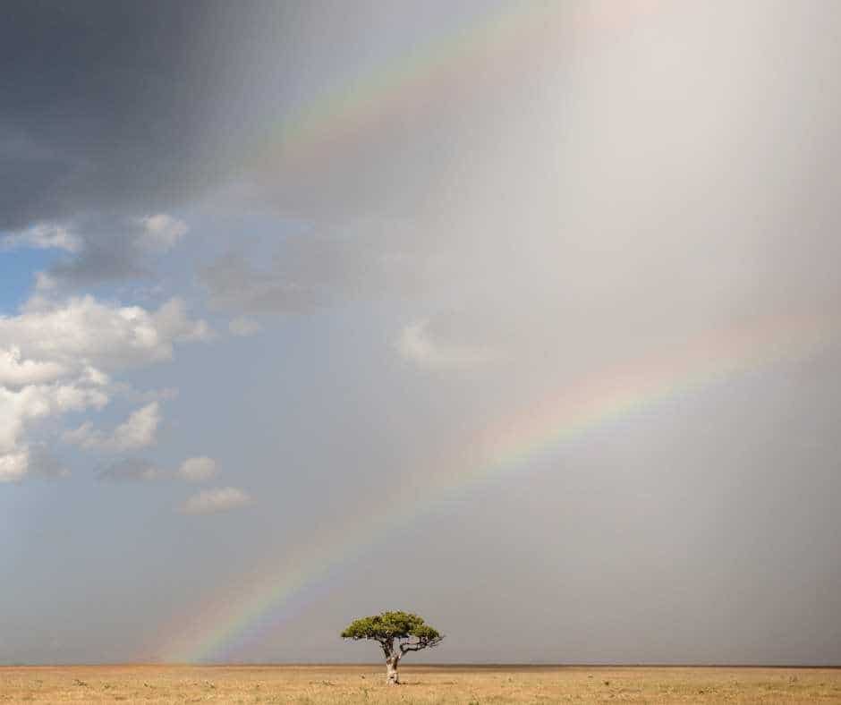 serengeti rain