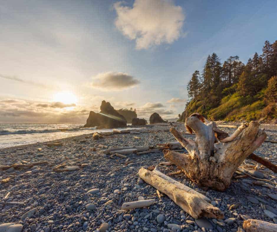 olympic national park
