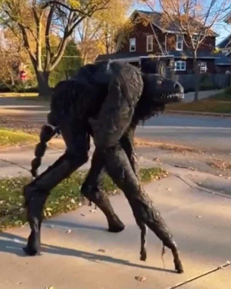 This Halloween Costume Is No Joke — It’s Pure Nightmare Fuel
