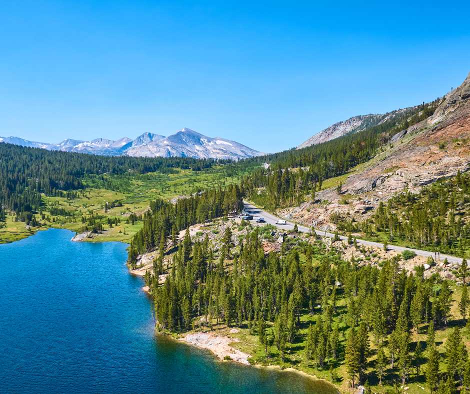 Tioga Road — California