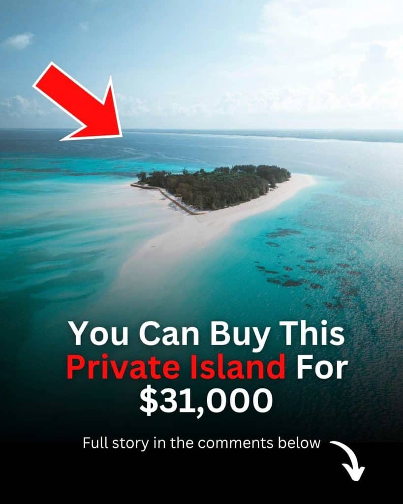 You Can Buy This Private Island For $31,000