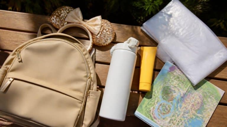 Colorful theme park park bag flat lay on a bench with mouse ear headband, refillable water bottle, sunscreen, poncho and park map, sunny Florida day