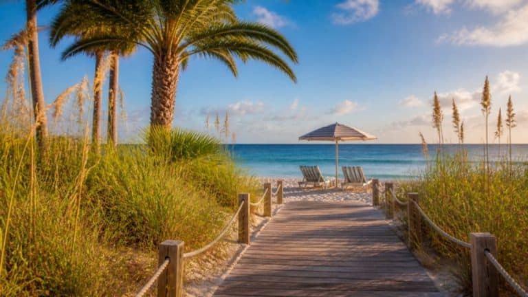 Sunny Florida beach boardwalk with palm trees, beach chairs and an umbrella